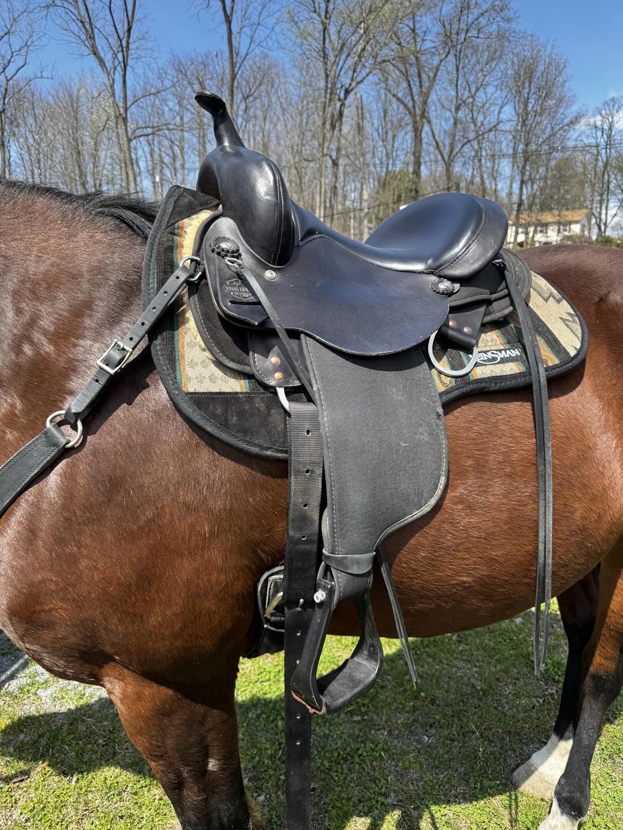 Reinsman Contoured Trail Pad with Breathable Non-Slip Tacky Too Bottom - Shock-Absorbing Horse Saddle Pad with Spine Relief Channel customer photo 1