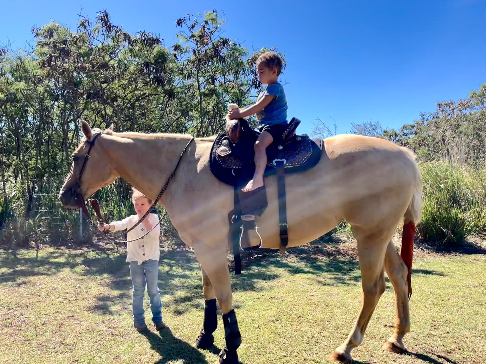 Reinsman Contoured Trail Pad with Breathable Non-Slip Tacky Too Bottom - Shock-Absorbing Horse Saddle Pad with Spine Relief Channel customer photo 2