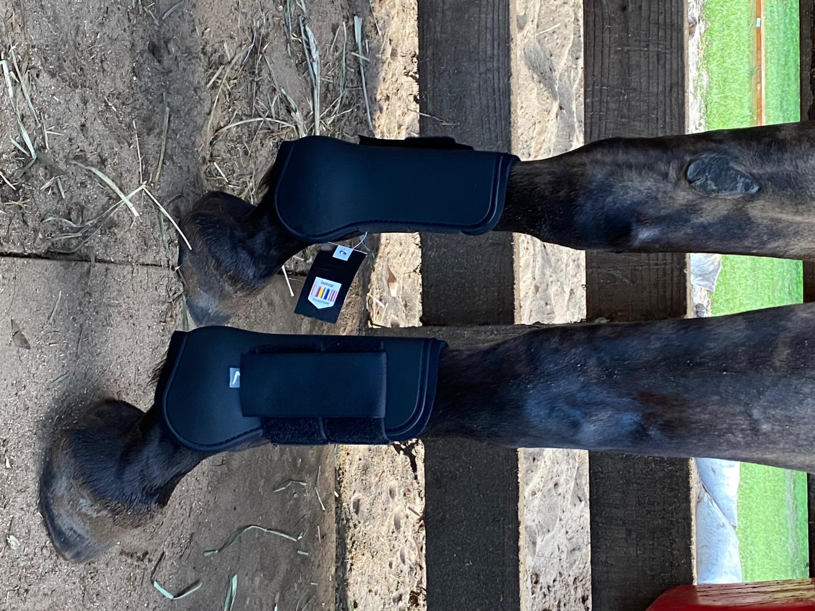 HORZE Chicago Protective Horse Tendon Boots - Lightweight Open Front Boots for Jumping, Trail Riding, and Turnout (Pair) - Black - Horse customer photo 2