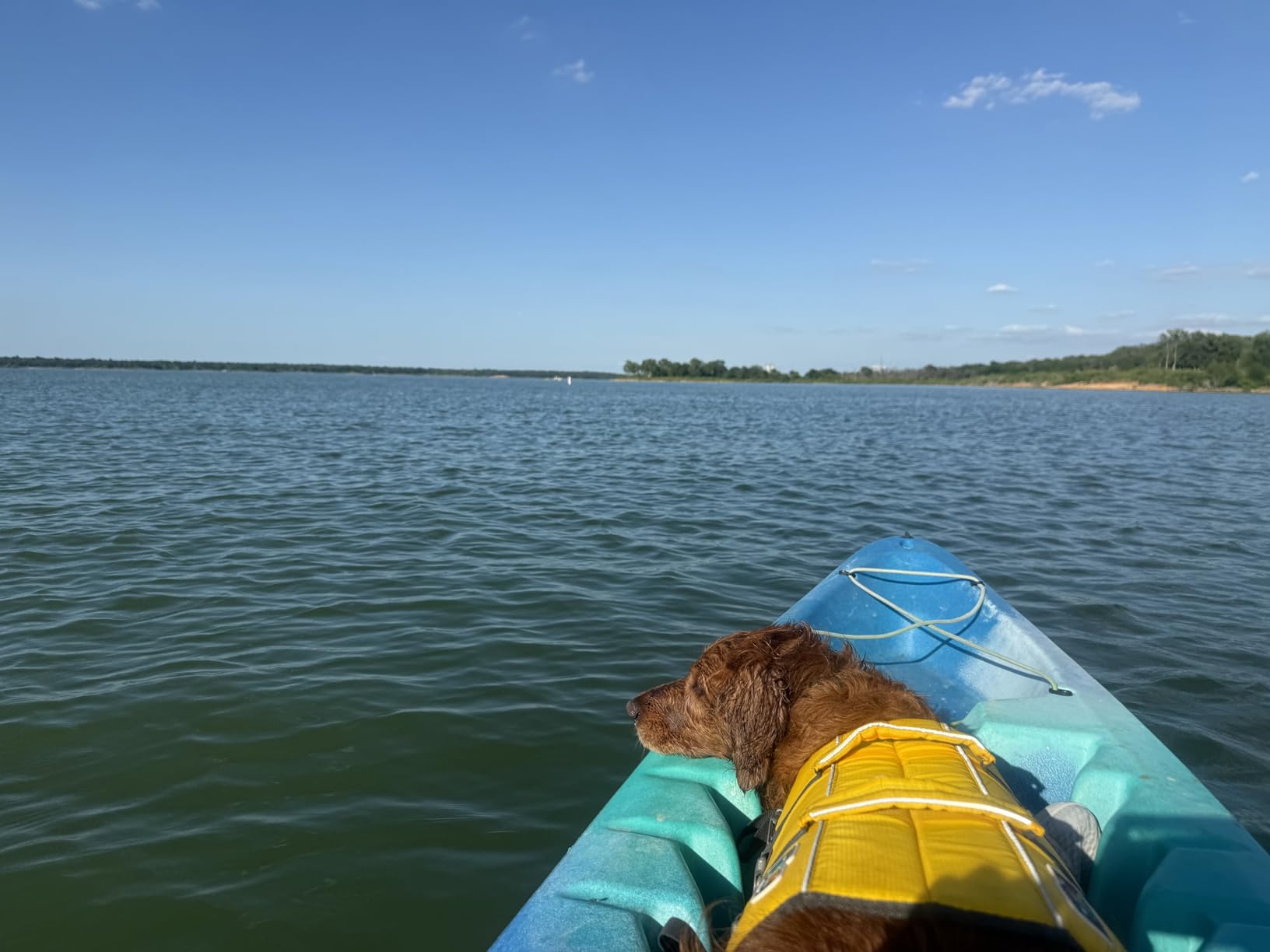 Outward Hound Granby Splash Orange Dog Life Jacket, Small customer photo 1