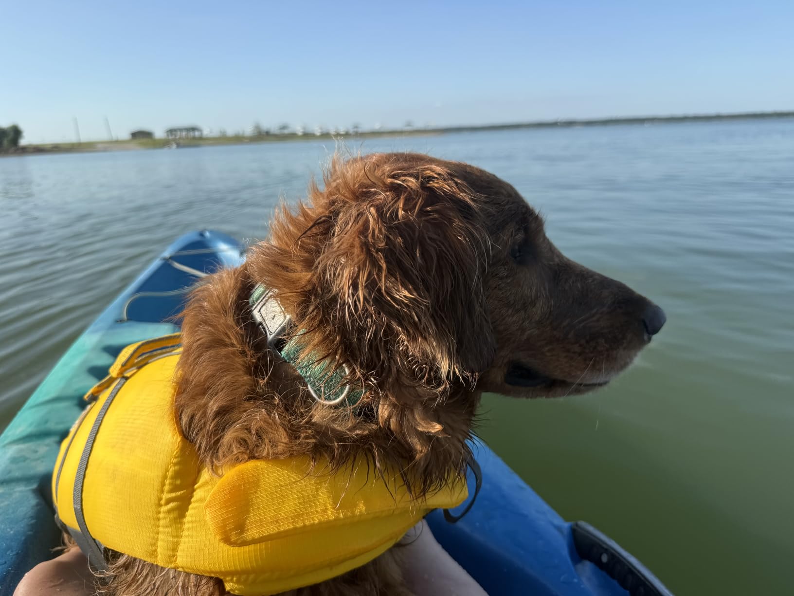 Outward Hound Granby Splash Orange Dog Life Jacket, XL customer photo 2