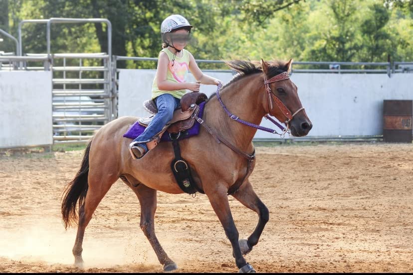 Weaver Leather Equine Felt Lined Smart Cinch customer photo 2