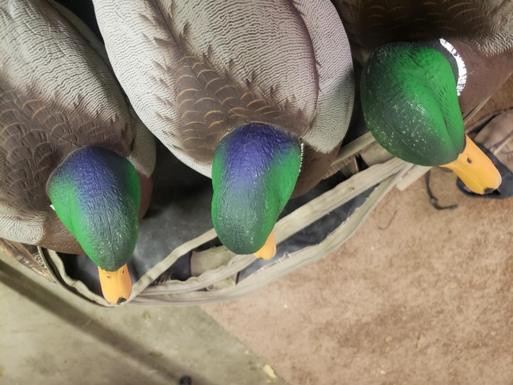 Avian X Topflight Realistic Open Water Mallard Duck Decoys with Weight-forward swim keel Set of 6 customer photo 2