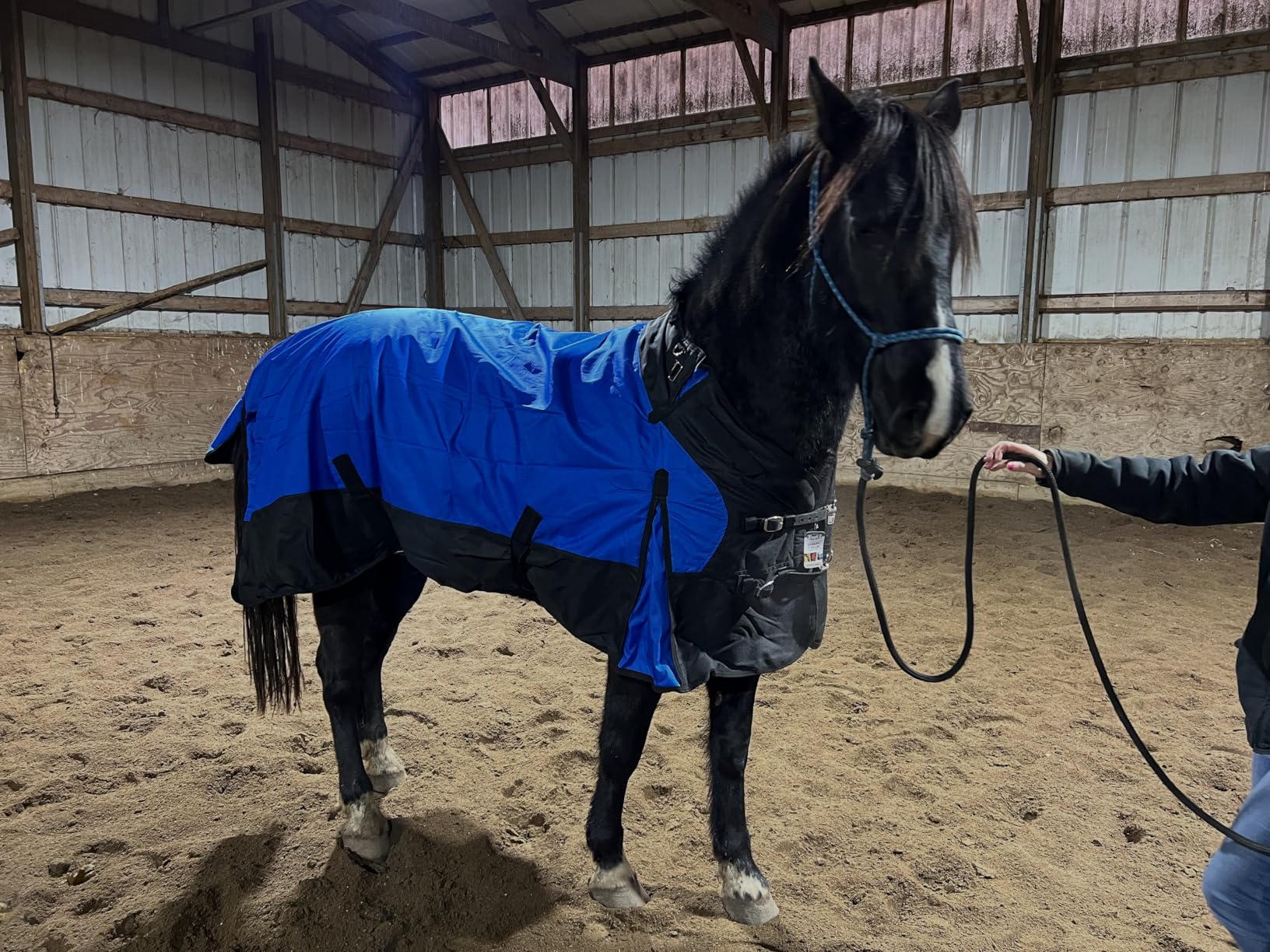 TOUGH1 1200D Turnout Blanket with SNUGGIT, 300-G, Turquoise, 72-in customer photo 1