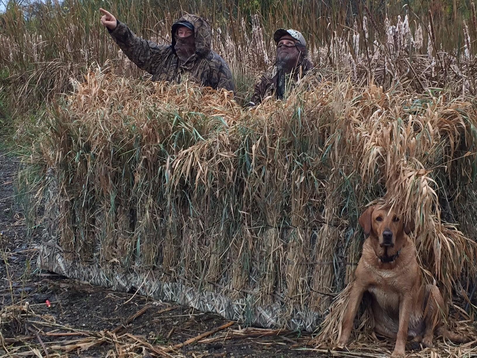Avian X A-Frame Portable Field Blind Mossy Oak Shadow Grass Blades Camo customer photo 1