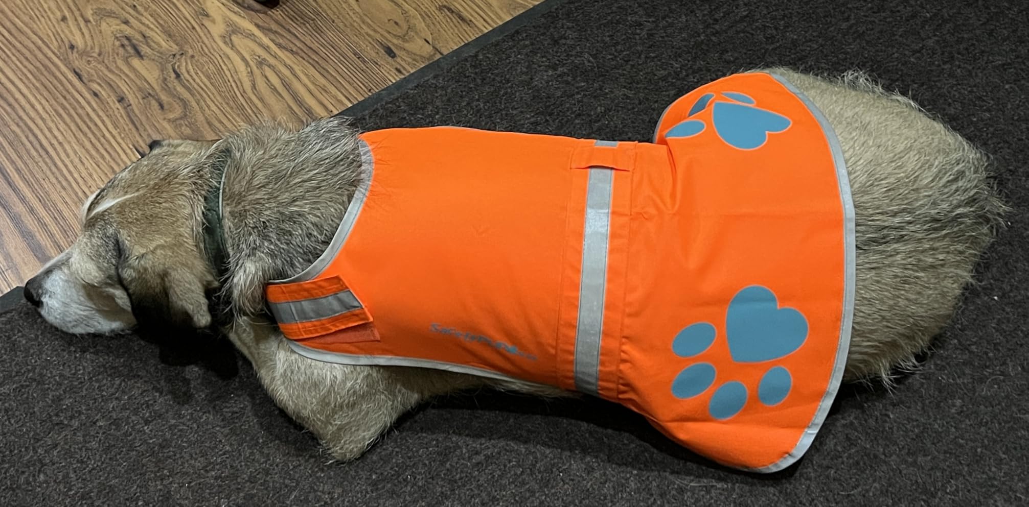 SafetyPUP XD Dog Reflective Vest - Hi-Vis Fluorescent Visibility that Helps to Safeguard Your Pet On/Off Leash in Urban & Rural Areas (Yellow, Large) customer photo 2