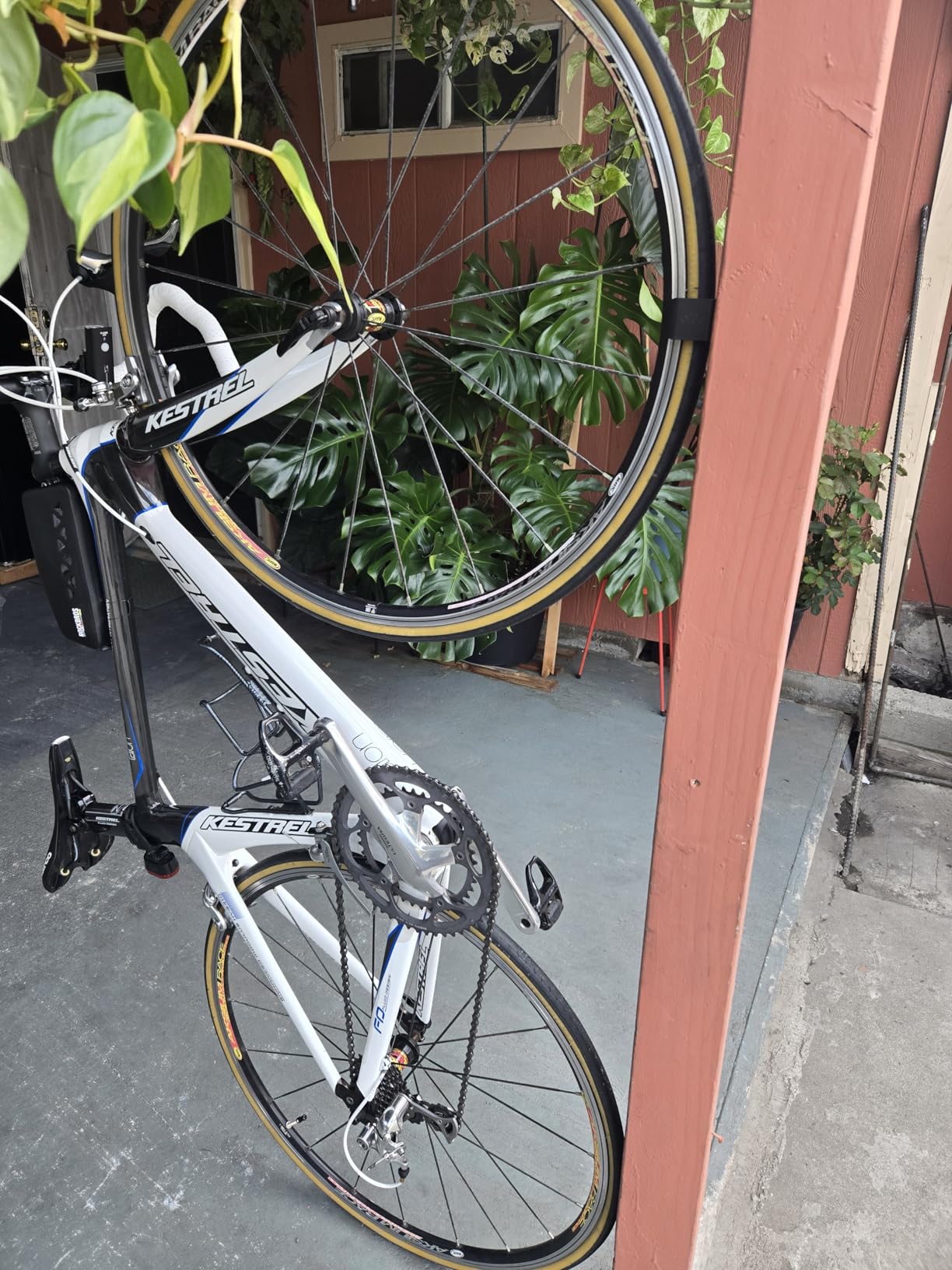 Hornit CLUG Bike Clip Indoor & Outdoor Bicycle Storage Rack & Mount System, 5 Sizes, Easy to install customer photo 2
