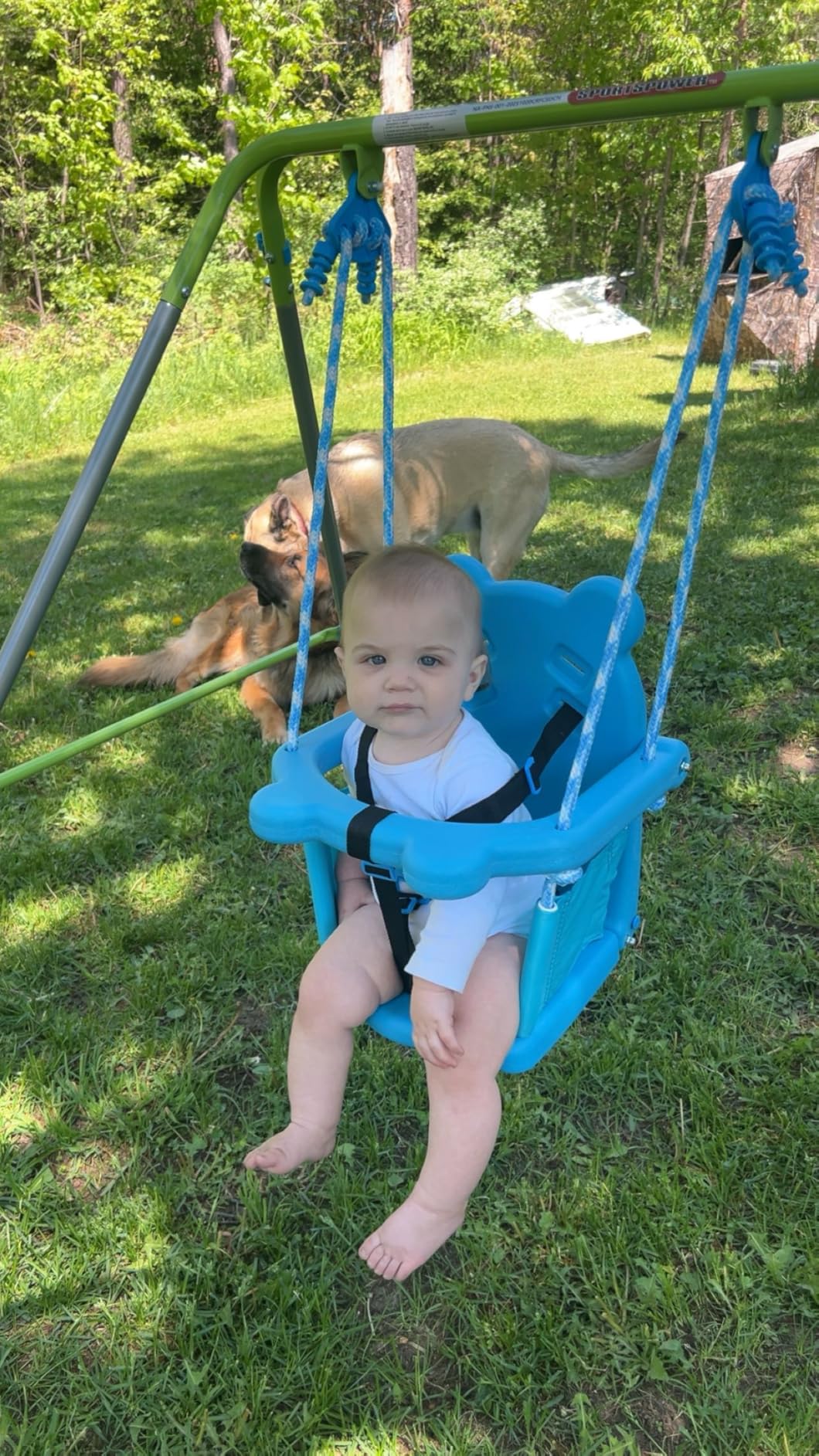 Sportspower My 1st Toddler Swing - Heavy-Duty Baby Indoor/Outdoor Swing Set with Safety Harness, Blue, 52
