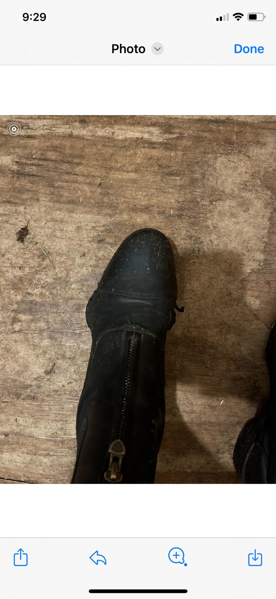 Ariat Heritage IV Paddock Boot - Women's Leather Paddock Boots customer photo 1