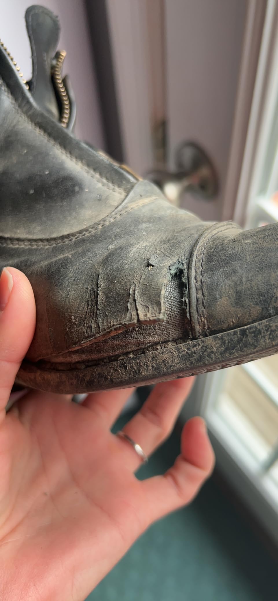 Ariat Heritage IV Paddock Boot - Women's Leather Paddock Boots customer photo 2