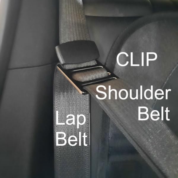 Ezydog Drive Dog Car Harness - Crash Tested and Certified (US-FMVSS 213) Dog Seat Belt Harness for Safe Travel, Adjustable with Padded Comfort (Medium) customer photo 2