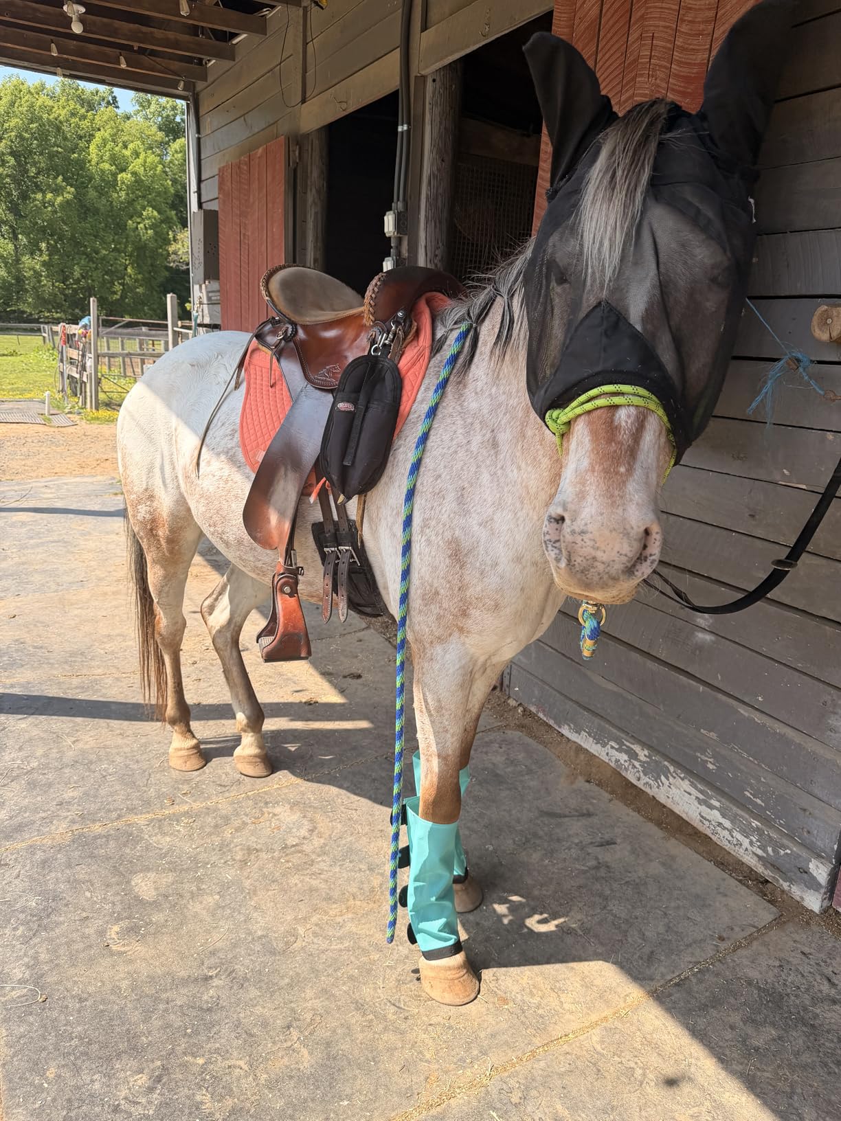 ECP Equine Comfort Products All-Purpose Contoured Correction Saddle Pad with Adjustable Memory Foam Inserts for Custom Support customer photo 1