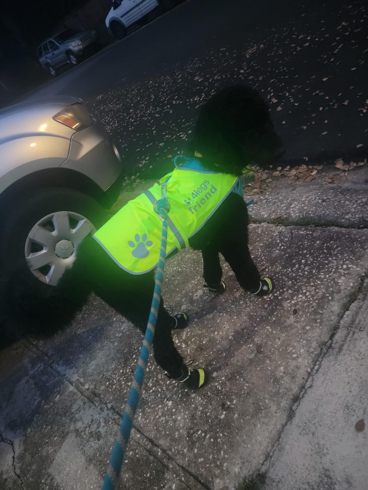 Safety Reflective Vest for Dogs - High Visibility for Outdoor Activity Day and Night, Protect Your Pet from Cars & Hunting Accidents customer photo 2