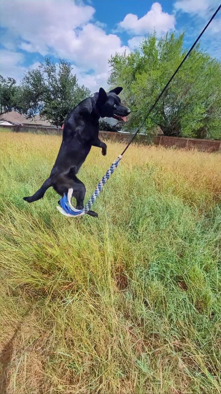 ASOCEA Dog Extendable Teaser Wand Pet Flirt Stick Pole Puppy Chasing Tail Interactive Toy for Small Medium Large Dogs Training Playing Exercise customer photo 1