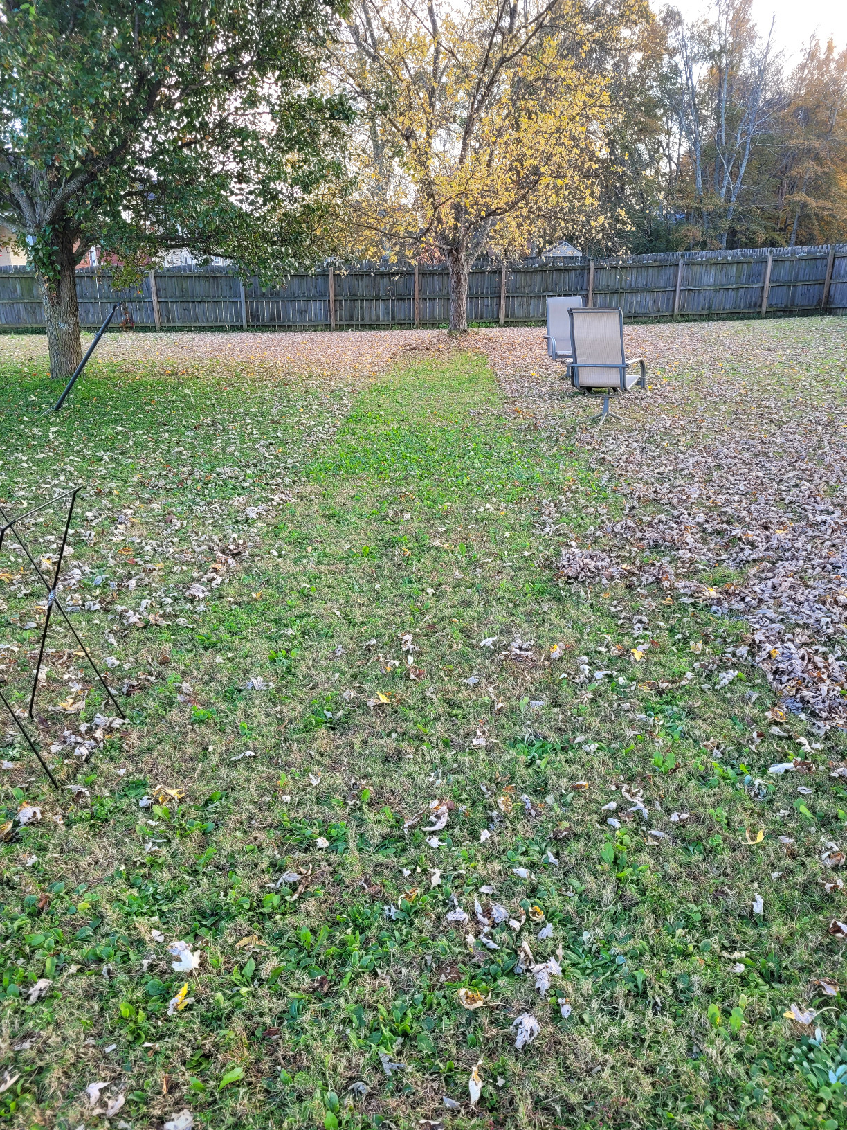 Earthwise LSW70021 21-Inch Width Leaf & Grass Push Lawn Sweeper, Black customer photo 1