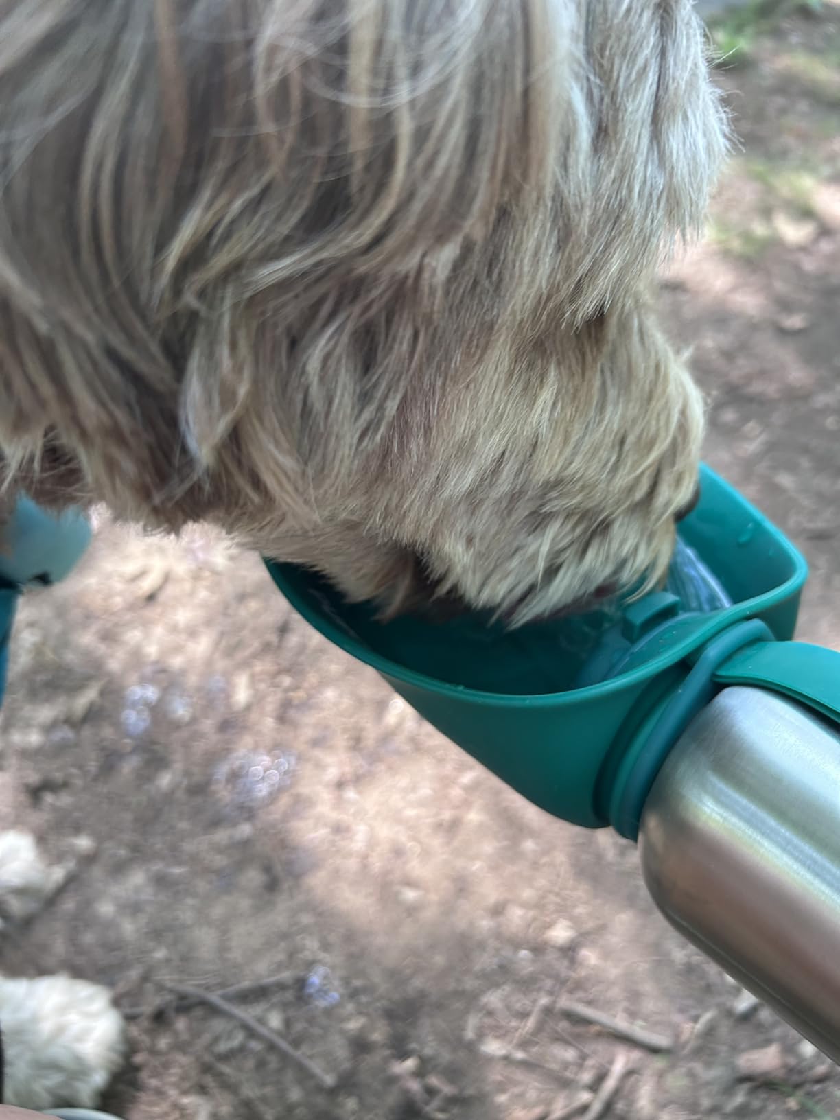 PupFlask Large Dog Water Bottle | 27 or 40 OZ Stainless Steel | Convenient Dog Drink Dispenser | Puppy Travel Water Bowl | Portable Pet Hydration Bottle | Leak Proof | Perfect Size For All Breeds customer photo 1
