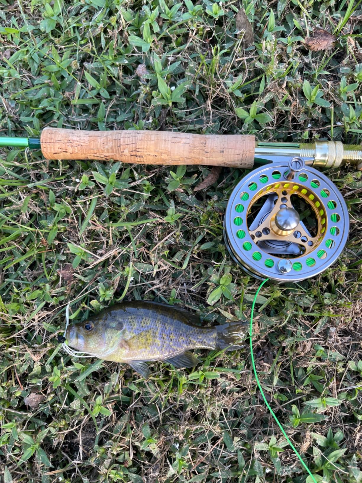 Sougayilang Fly Fishing Rod Reel Combos with Lightweight Portable Fly Rod and CNC-machined Aluminum Alloy Fly Reel, Fly Fishing Complete Starter Package customer photo 1