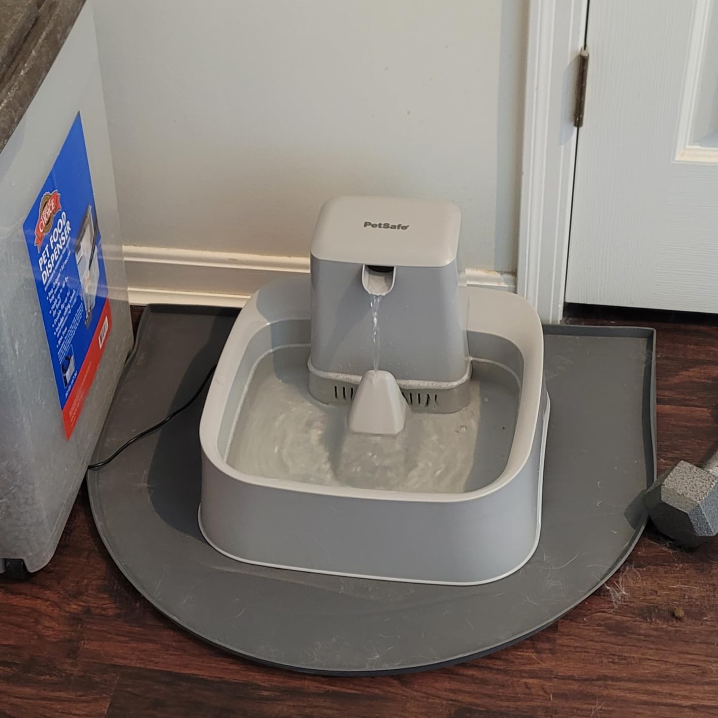 PetSafe Oasys 2 Gallon Pet Fountain for Dogs or Multiple Pets, Automatic Water Bowl Dispenser - Pump and Filter Included - Dishwasher Safe, Easy Clean Pet Dish - 2 Gallon/256 Oz customer photo 2