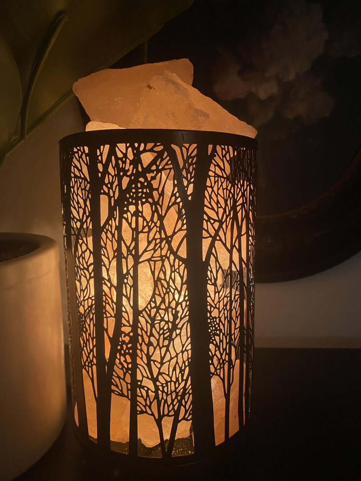 Shineled Himalayan Salt Lamp, Salt Rock Lamp Natural Night Light in Forest Design Metal Basket with Dimmer Switch, 25Watt Bulbs & ETL Cord customer photo 2