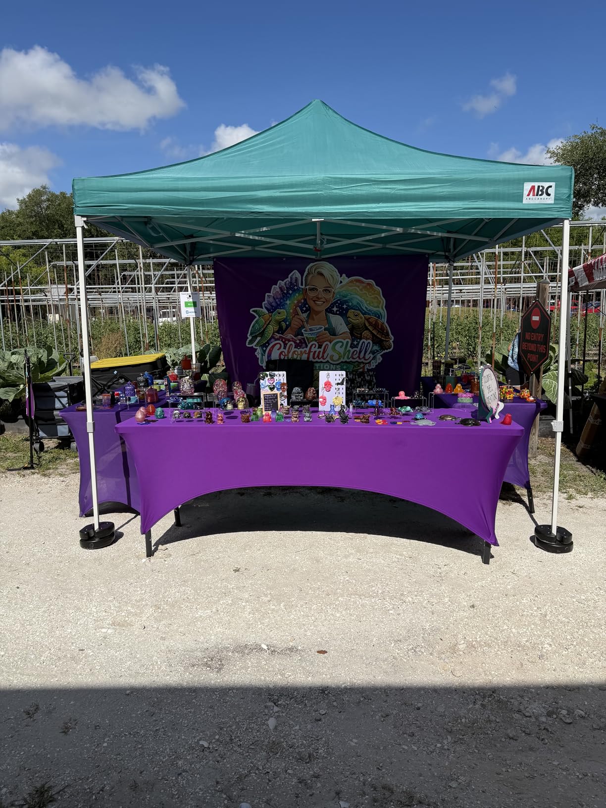 E-Z UP Easy Pop Up Canopy Tent with Sidewalls 10x10 Commercial -Series, White customer photo 1