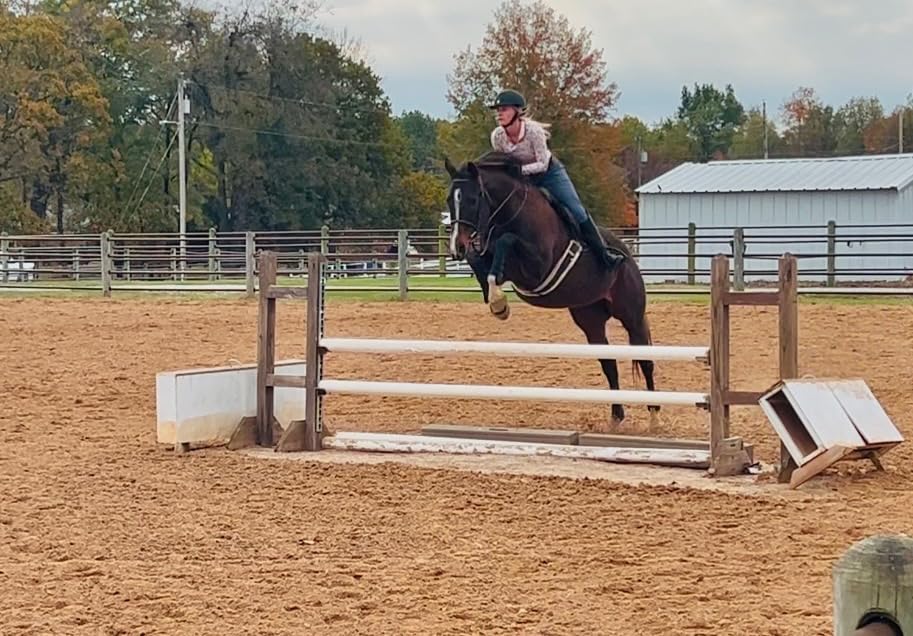 Open Front Jumping Tendon Horses Boots, Secure Leg Protection, Lightweight and Tough Dressage Horse Riding Equestrian Equipment customer photo 1