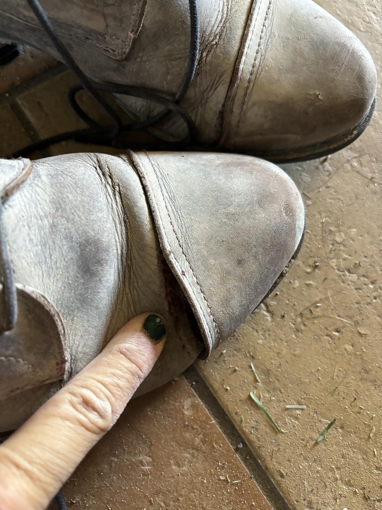 Ariat Women's Performer Nitro Paddock Boot customer photo 2