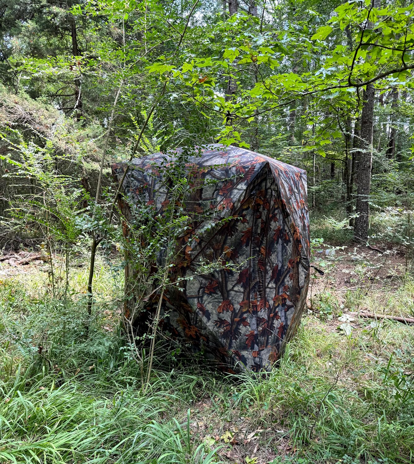 Barronett Blinds Prowler 300, Portable Hunting Blind, Tall Hub Blind, Shoot While Standing, Lightweight, 2-Person, Bloodtrail Woodland customer photo 1