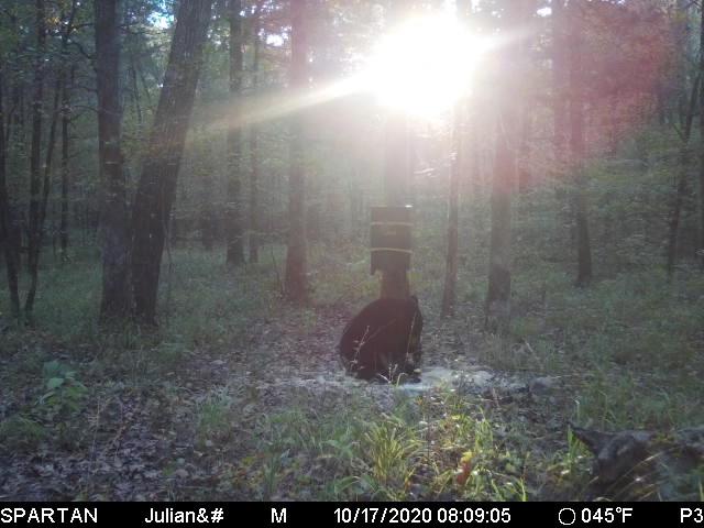 Barronett Blinds Prowler 300, Portable Hunting Blind, Tall Hub Blind, Shoot While Standing, Lightweight, 2-Person, Bloodtrail Woodland customer photo 2