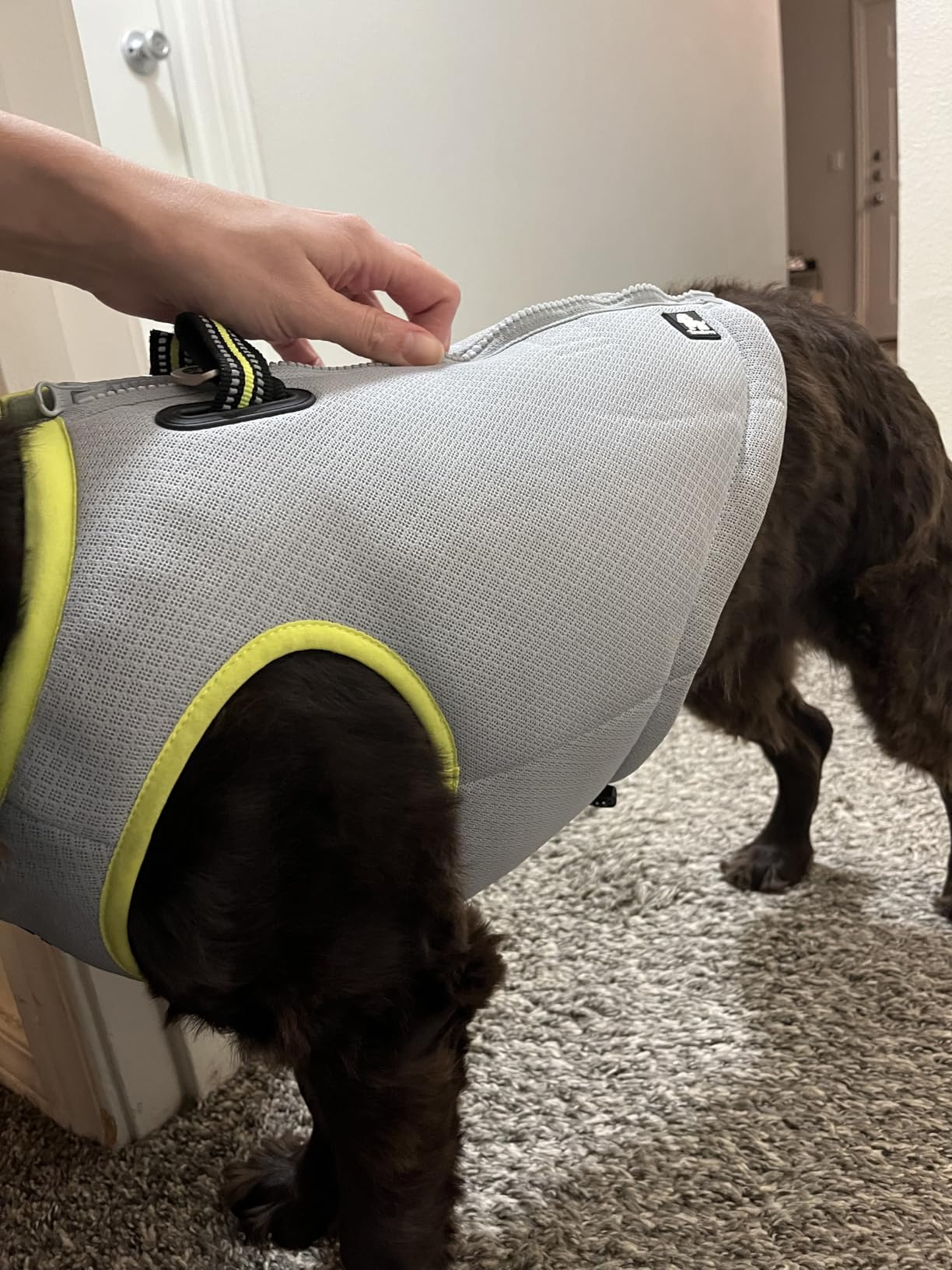 JUXZH Truelove Dog Cooling Vest Harness Cooler Jacket with Adjustable Zipper for Outdoor Hunting Training and Camping customer photo 1