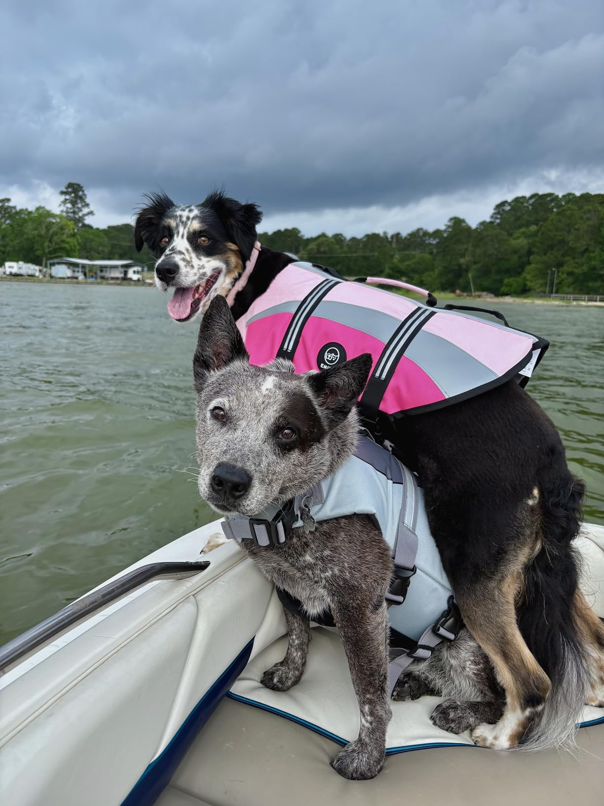 Bess Bridal Dog Life Jacket - Shark Life Vest for Swimming Boating - Reflective Lifejacket Swimsuit for Small Medium Large Dogs - High Buoyancy Lifesaver Preserver with Rescue Handle, Grey Shark 2XL customer photo 1