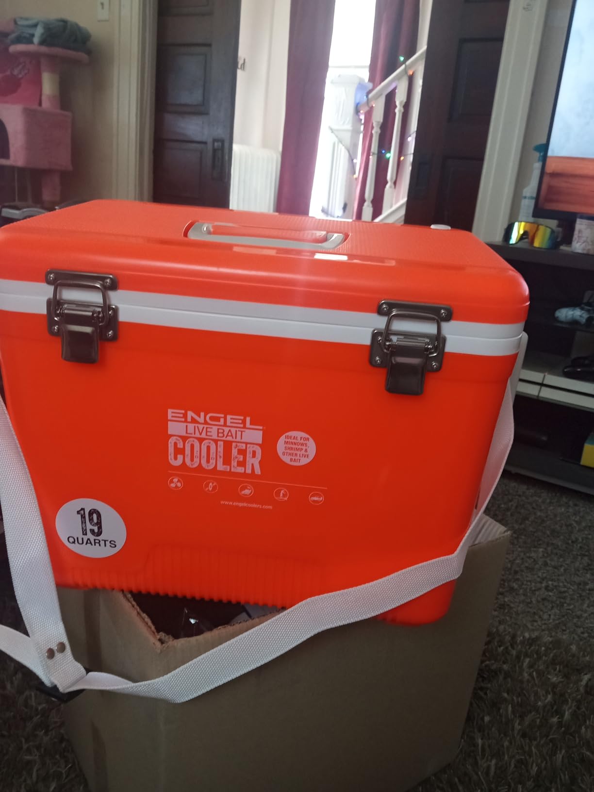 Engel Live Bait Cooler Box with 2nd Gen 2-Speed Aerator Pump - Portable Fishing Station & Minnow Bucket (13qt) customer photo 1