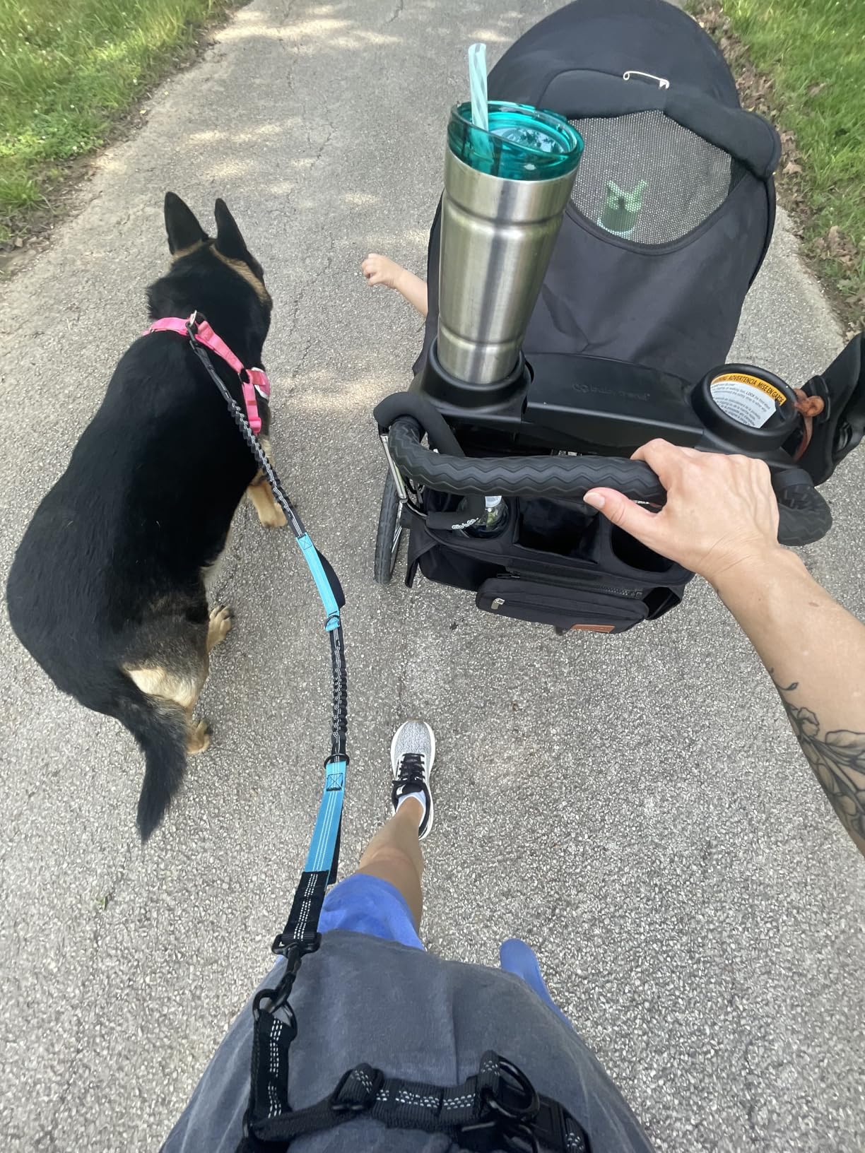 iYoShop Hands Free Dog Leash with Zipper Pouch, Dual Padded Handles and Durable Bungee for Walking, Jogging and Running Your Dog (Large, 25-120 lbs, Black) customer photo 2