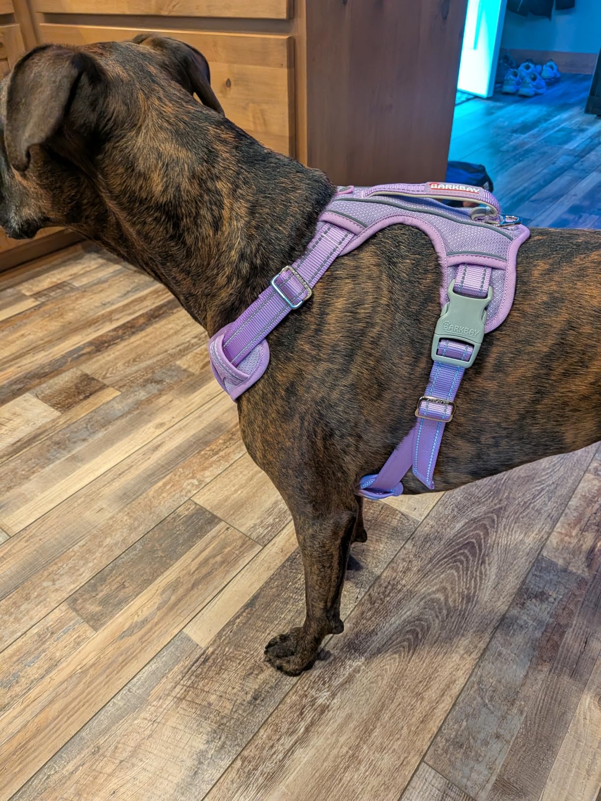 BARKBAY No Pull Dog Harness Large Reflective Dog Harness with Front Clip and Easy Control Handle for Walking Training Running with ID tag Pocket(Pink,L) customer photo 2