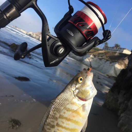 Penn Fierce III Spinning Inshore Fishing Reel, Size 2000, Right/Left Handle Position, 5 Bearings for Smooth Operation customer photo 1