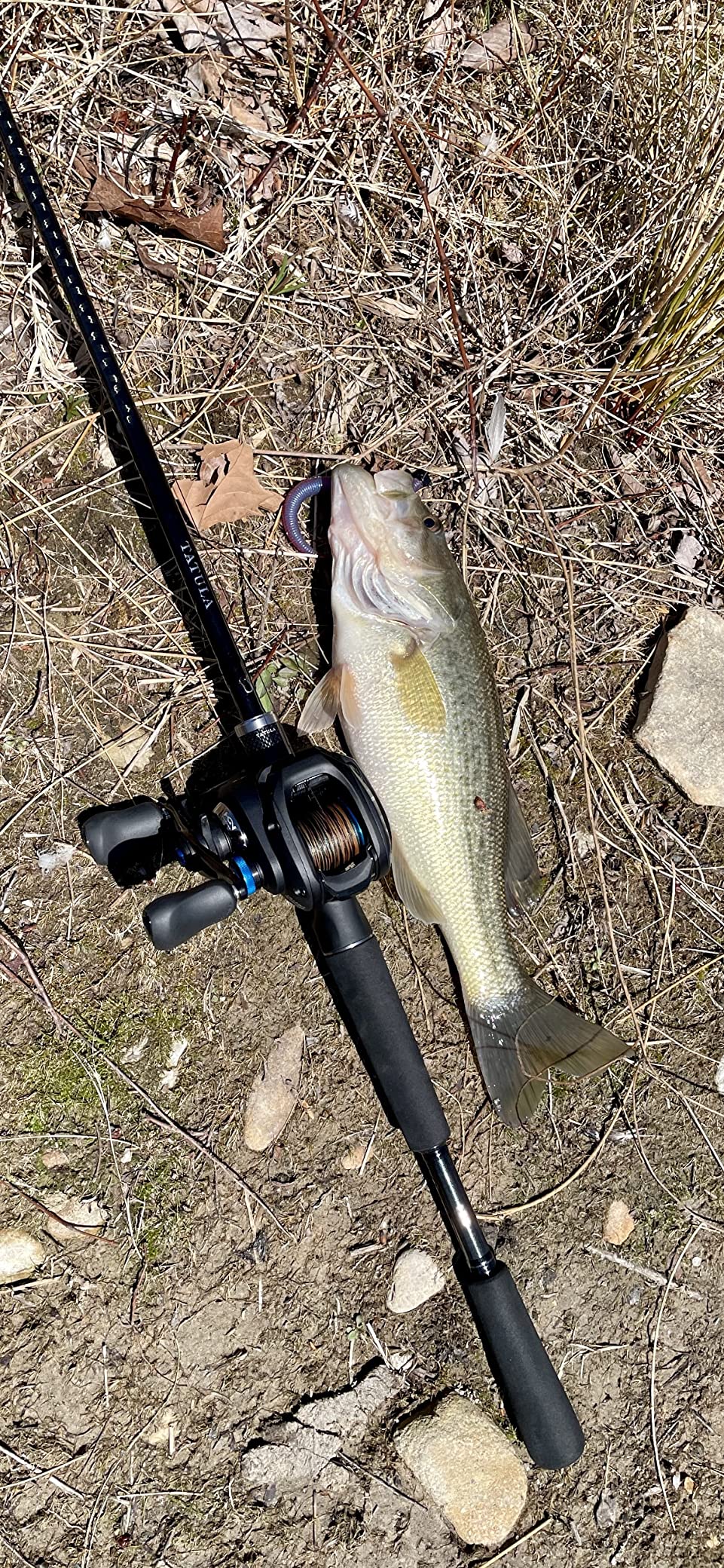 SHIMANO SLX DC customer photo 2
