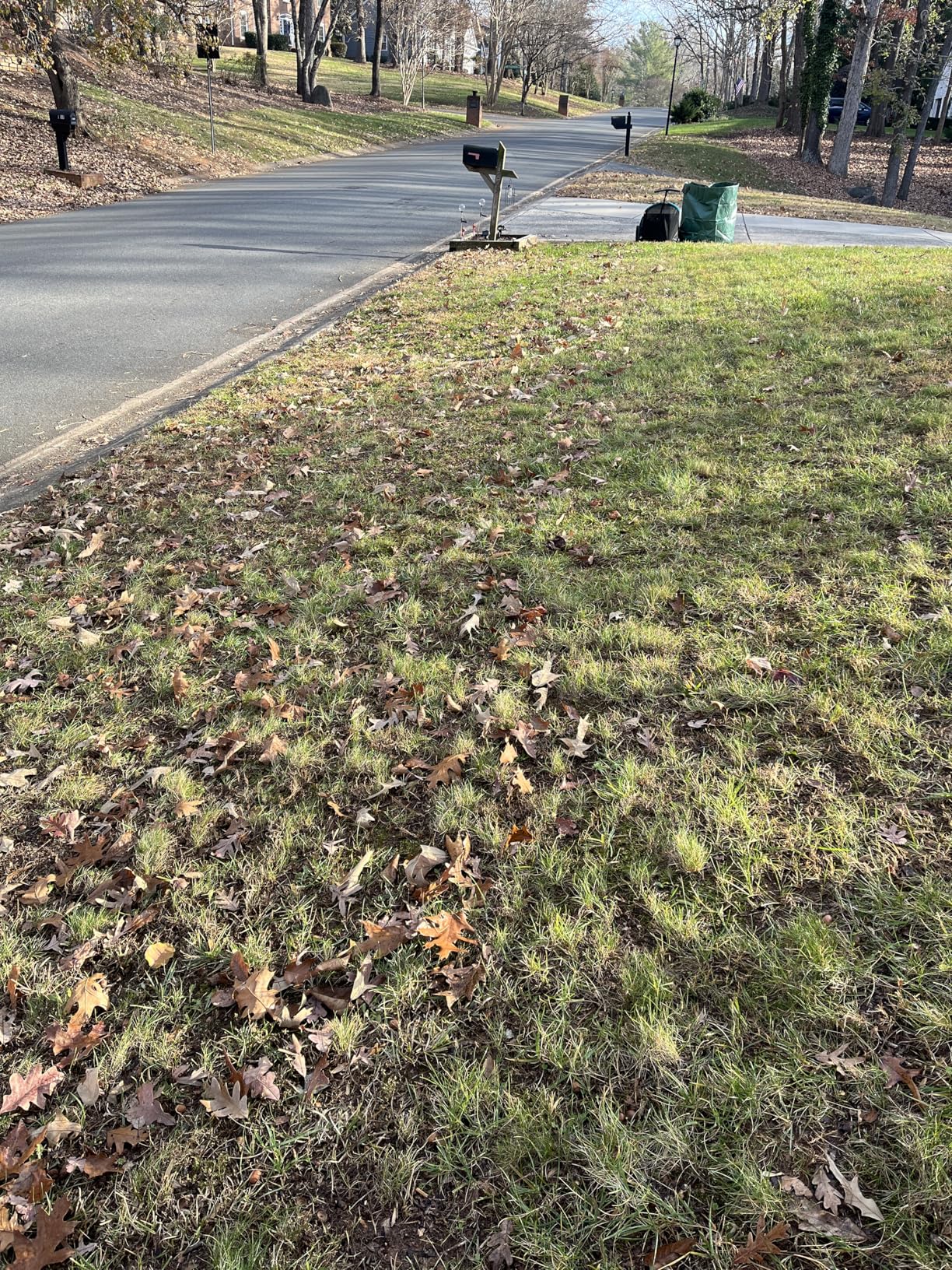 Gardena Manual Lawn and Leaf Collector Sweeper, Large Bag - 03565 customer photo 2