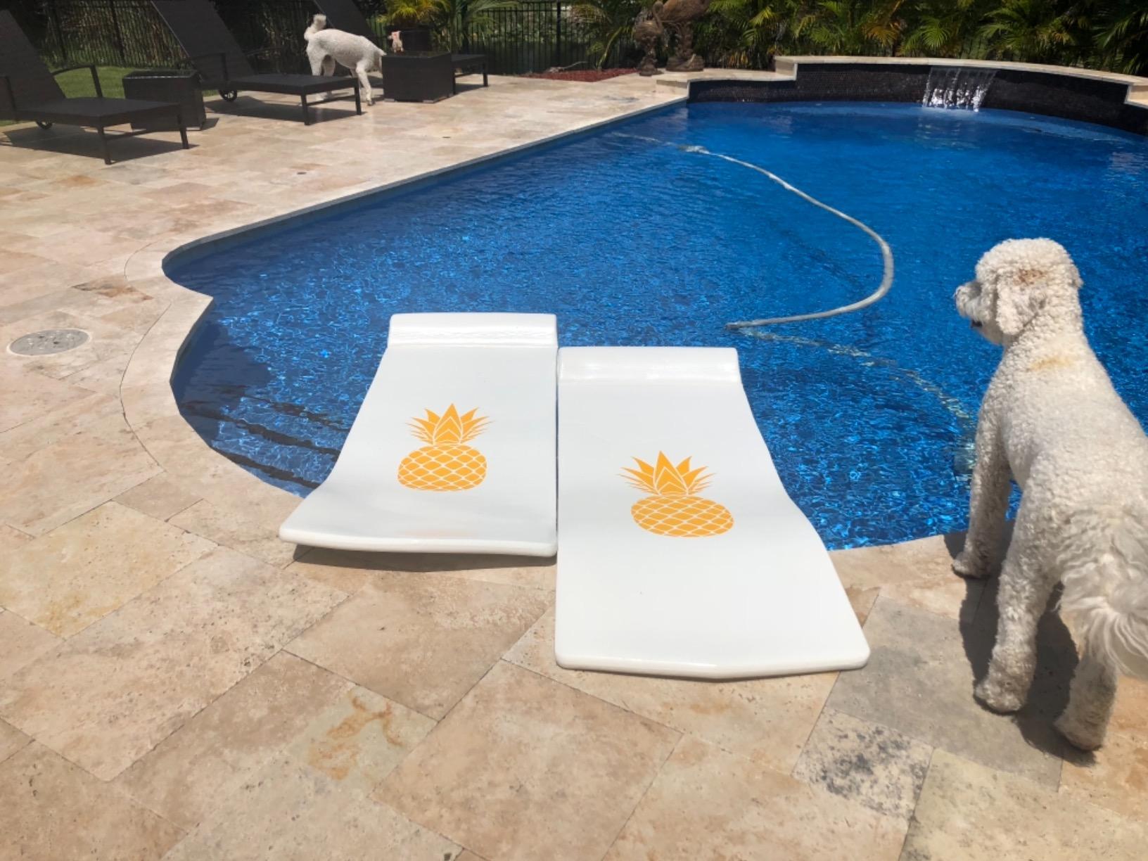 California Sun Luxury Vinyl-Dipped Pool Float with Built-in Pillow - Soft Closed-Cell Foam Lounger for Adults, Unsinkable Water Mat for Pool or Lake customer photo 2