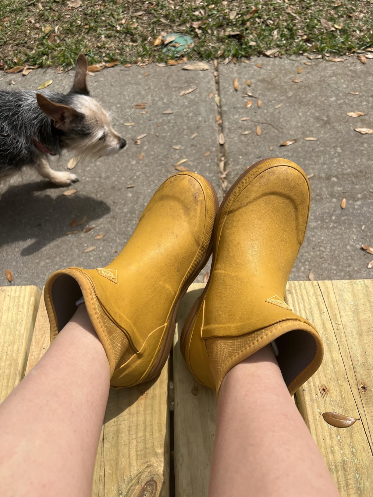 MUCK Women's Originals Ankle Boots customer photo 1