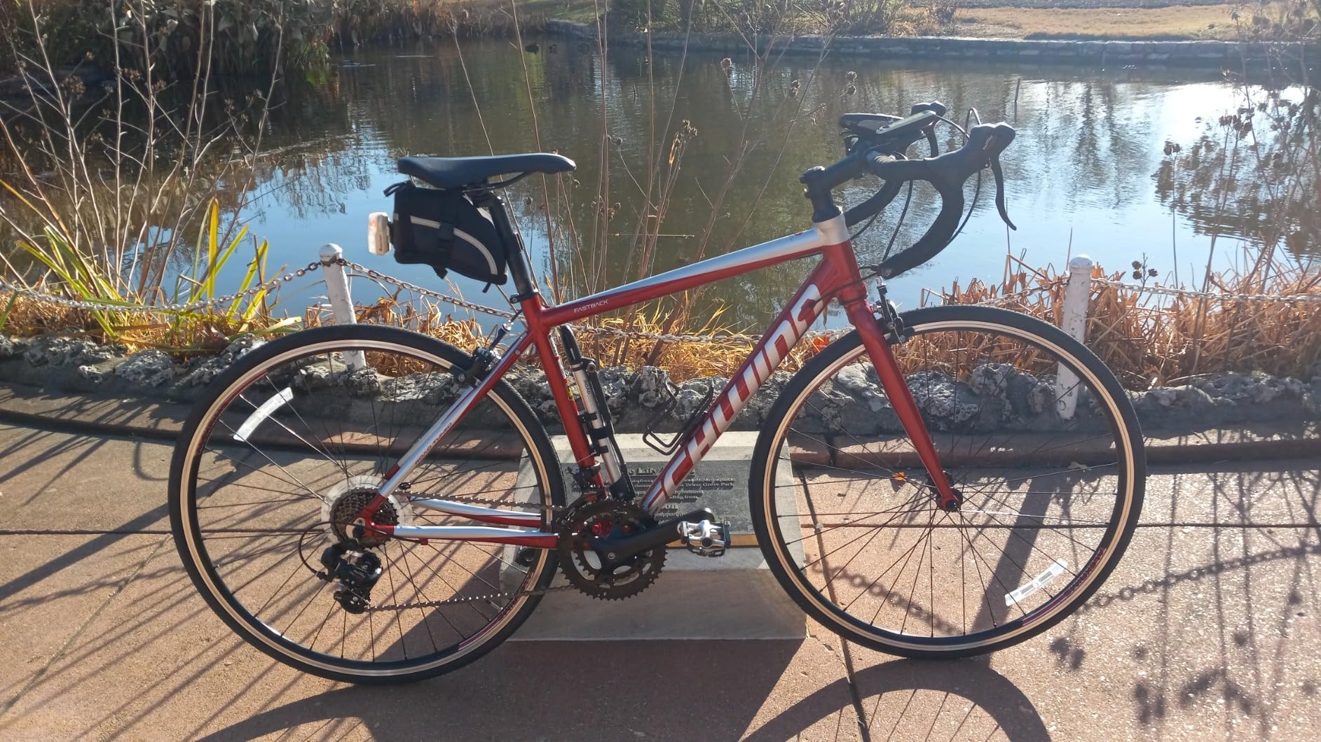 Schwinn Fastback Road Bike customer photo 2