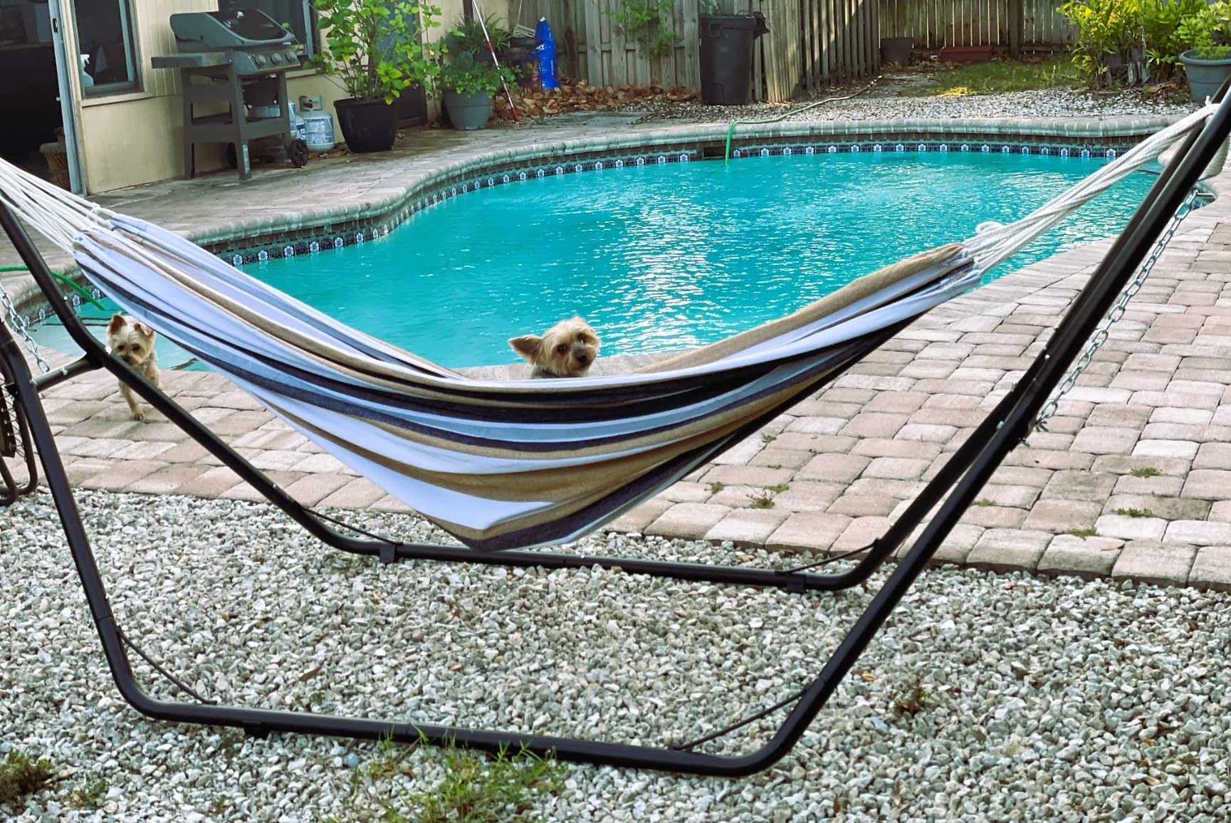 Zupapa 2 Person Steel Hammock Stand 550 lb Capacity, Portable Hammock Frame Stand Heavy Duty for 9 to 14 Feet Hammocks, Carry Bag Included, Black customer photo 1
