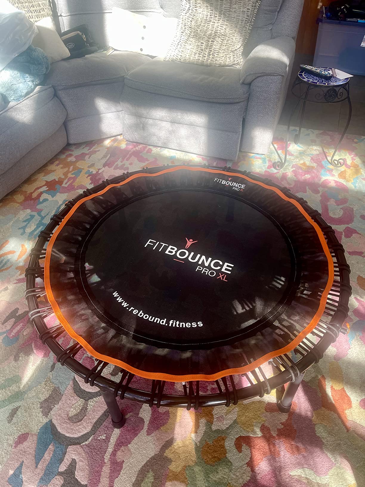 MXL FIT Bounce PRO XL Bungee Rebounder - Premium Indoor Mini Trampoline for Adults, Silent Low-Impact Bounce, Half-Folding with Foldable Steel Legs & Carry Bag - 48 in, 400lb customer photo 2
