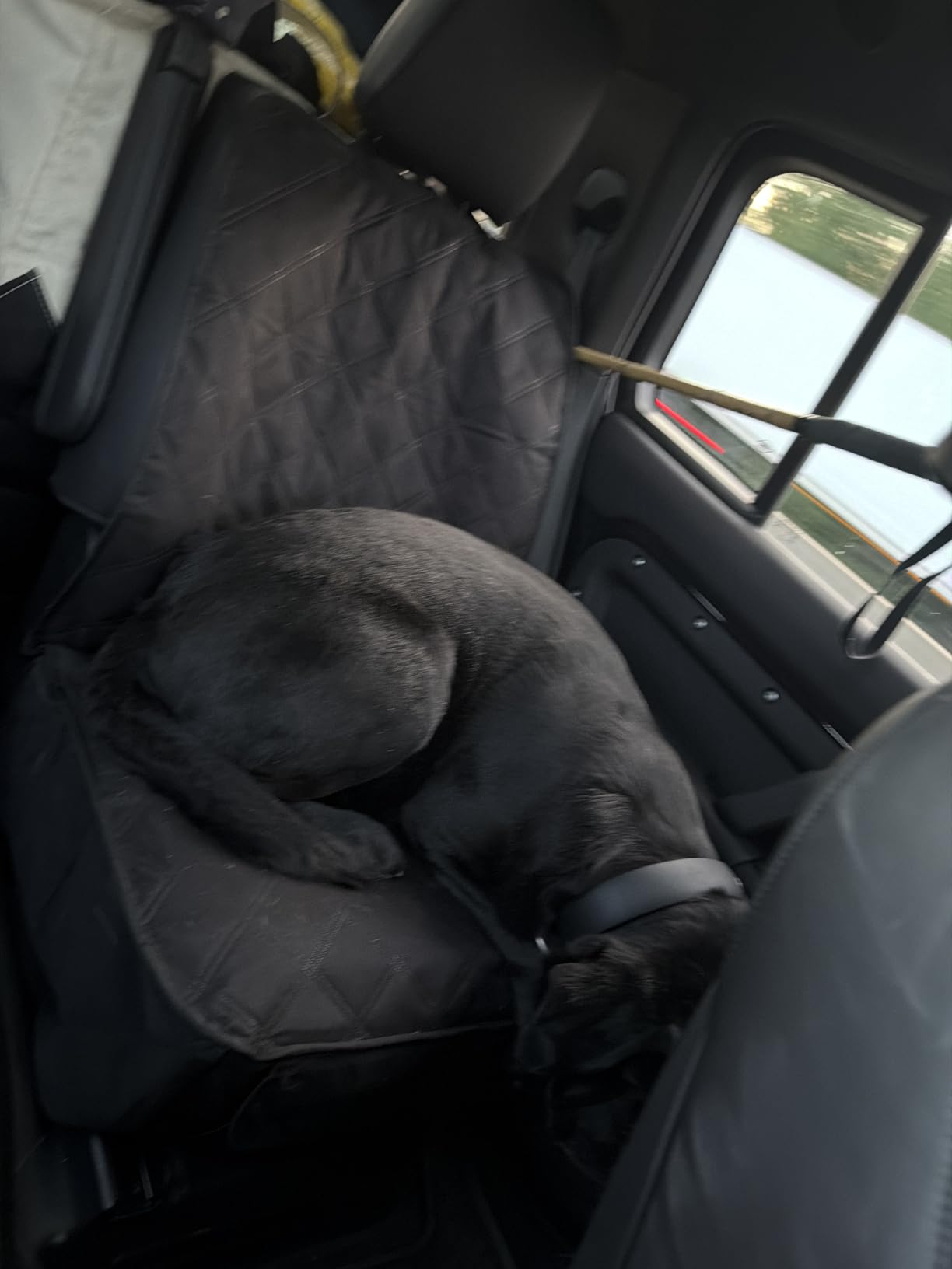 PETICON Waterproof Front Seat Car Cover 2 Pack, Full Protection Dog Car Seat Cover with Side Flaps, Nonslip Scratchproof Captain Chair Seat Cover Fits for Cars, Trucks, SUVs, Jeep, Black customer photo 2