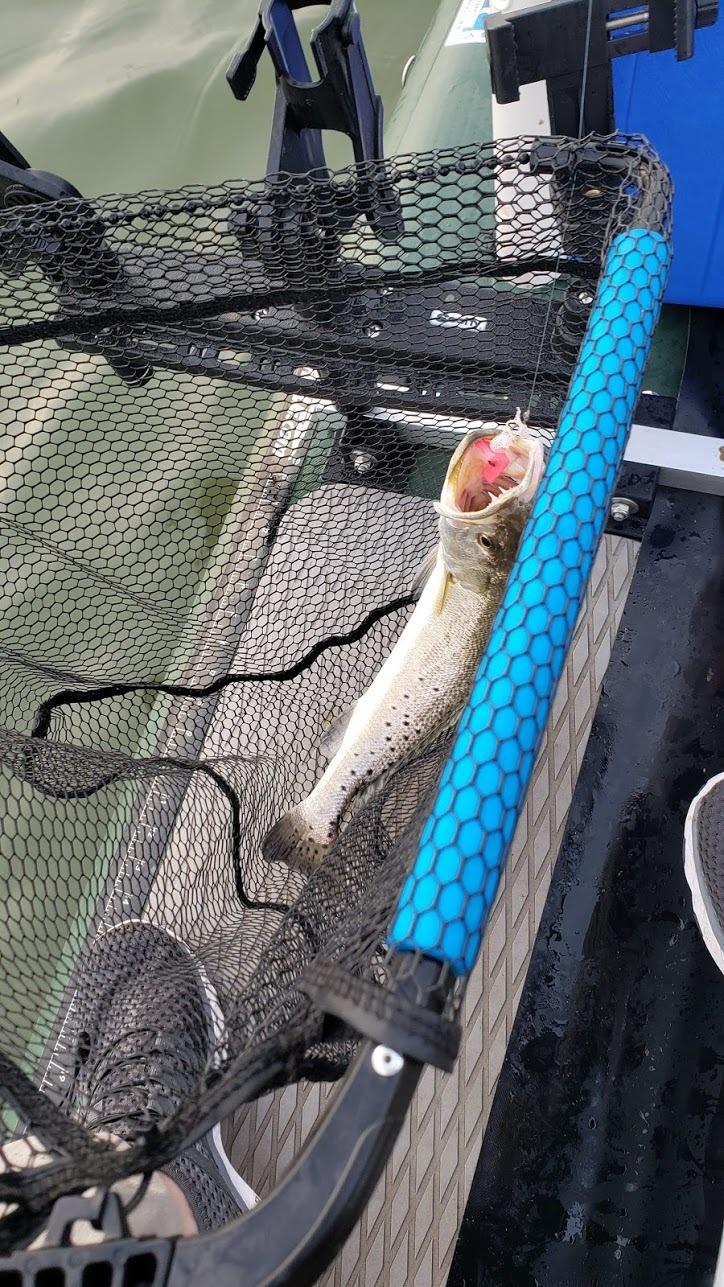 PLUSINNO Fishing Net Fish Floating Landing Net, Kayak Nets with Fixed Foldable Telescopic Pole Handle, Bass Trout Fishing Nets with Nylon Mesh for Pond Lake River, Fishing Gear Gifts for Men Anglers customer photo 1