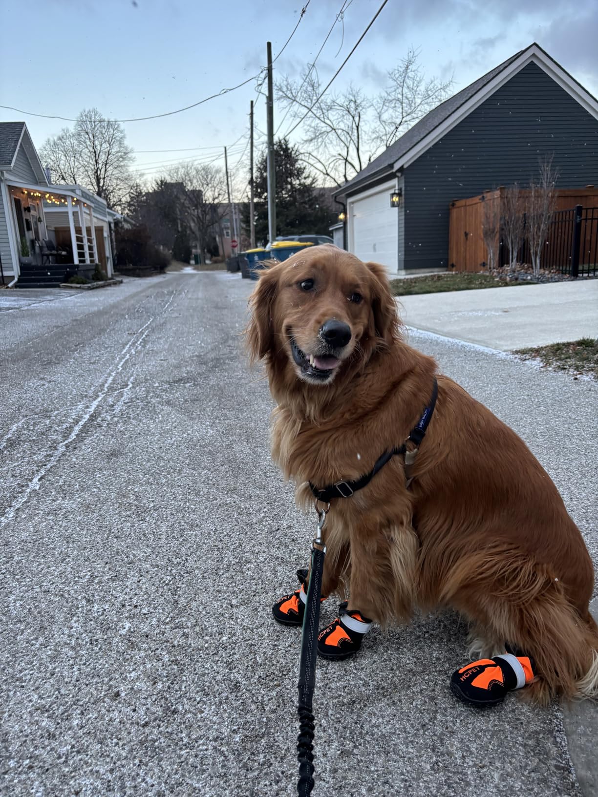 Hcpet Dog Boots, Dog Shoes for Large Dogs, Medium Dog Boots & Paw Protectors, Anti-Slip Dog Booties for Hot Pavement Winter Snow Hiking with Reflective Straps customer photo 1