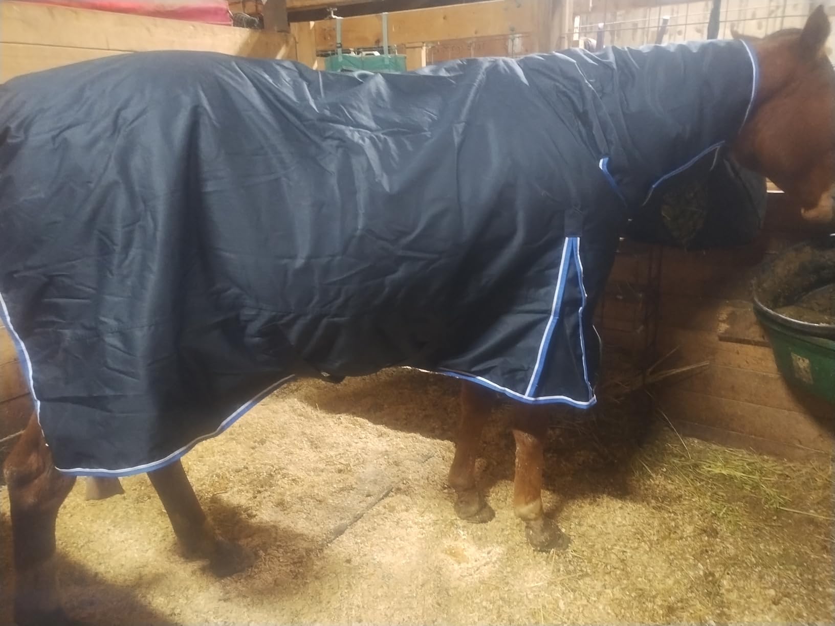 Horze Glasgow Medium Weight Waterproof Combo Turnout Winter Horse Blanket with Neck Cover (150g Fill) - Dark Blue - 75 in customer photo 1