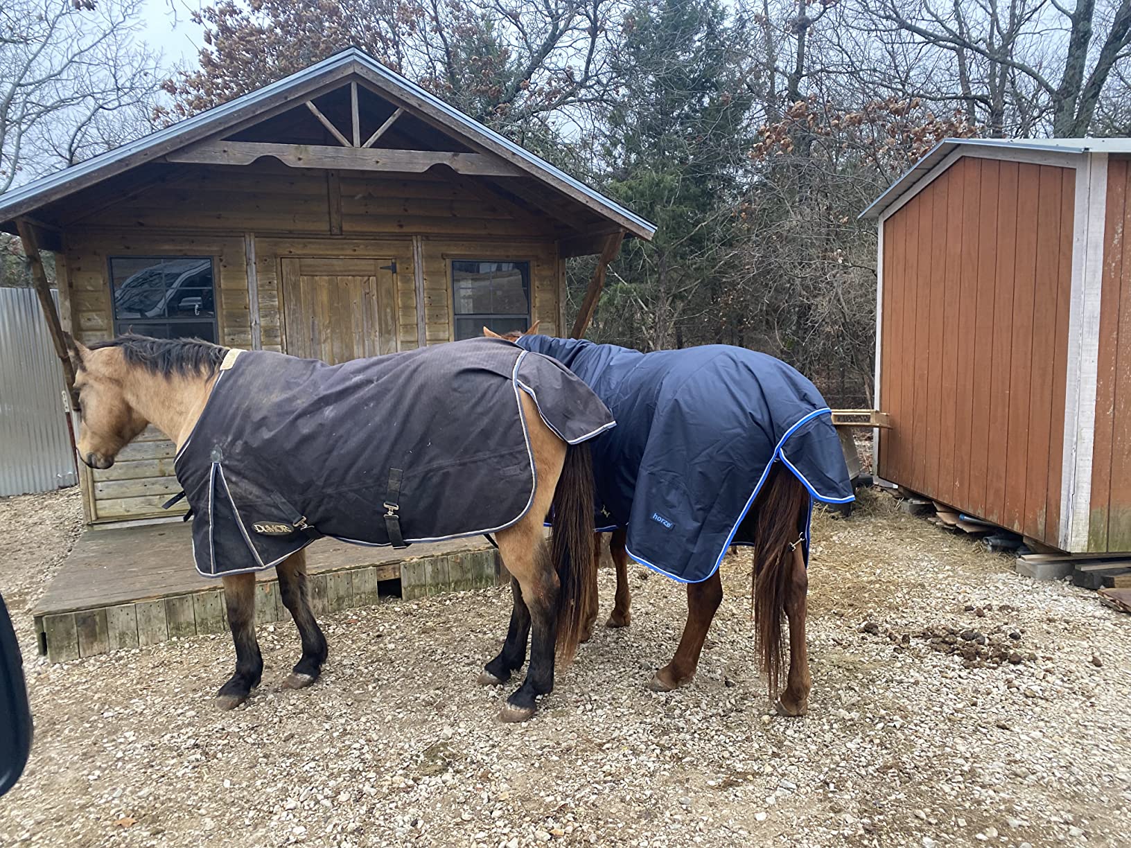 Horze Glasgow Medium Weight Waterproof Combo Turnout Winter Horse Blanket with Neck Cover (150g Fill) - Dark Blue - 75 in customer photo 2