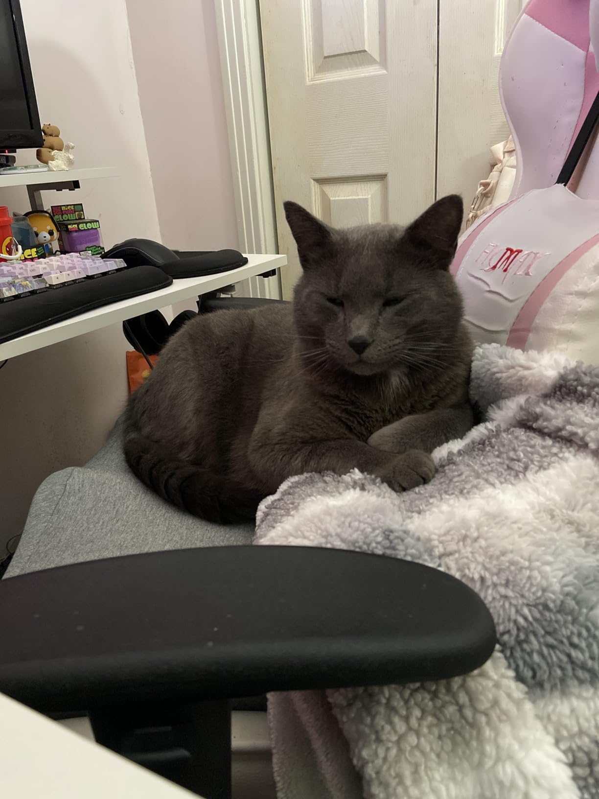 C CUSHION LAB Patented Pressure Relief Seat Cushion for Long Sitting Hours on Office/Home Chair, Car, Wheelchair - Extra-Dense Memory Foam for Hip, Tailbone, Coccyx, Sciatica - Light Grey customer photo 1