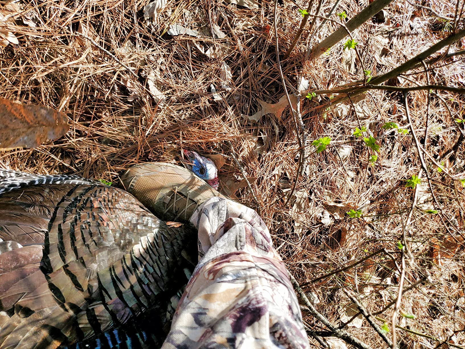 Will Primos Signature Series Turkey Vest customer photo 2