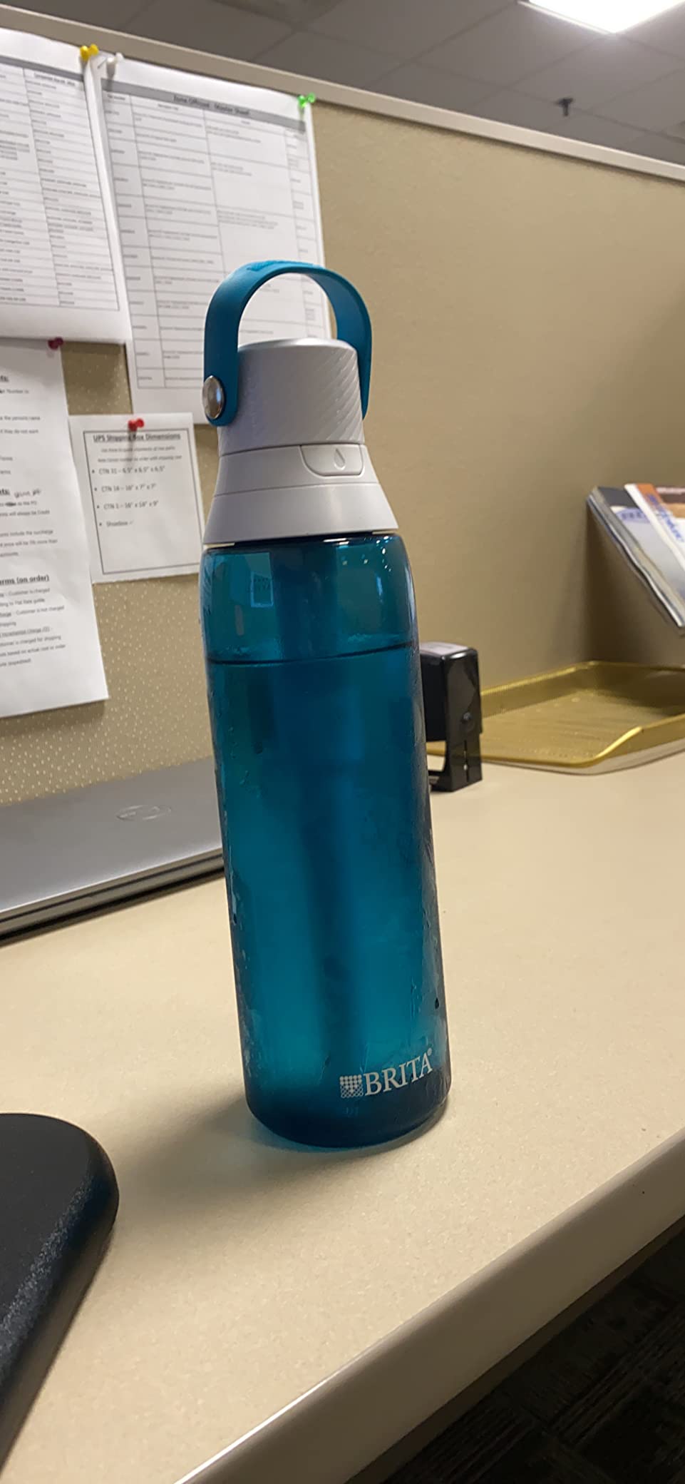 Brita Hard-Sided Plastic Premium Filtering Water Bottle, BPA-Free, Reusable, Replaces 300 Plastic Water Bottles, Filter Lasts 2 Months or 40 Gallons, Includes 1 Filter, Sea Glass - 26 oz. customer photo 1