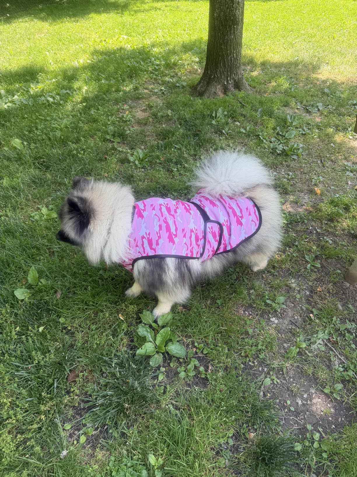 Dog Cooling Vest - 2-Layer Cooling with Soft Microfiber Fabric - Lightweight, Adjustable and Comfortable - UV Protection for Small to Large Dogs - Relief in Hot Weather (Blue, Medium) customer photo 1